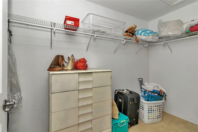 walk in closet featuring carpet