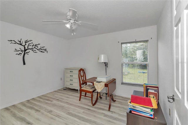 home office with ceiling fan and light hardwood / wood-style flooring