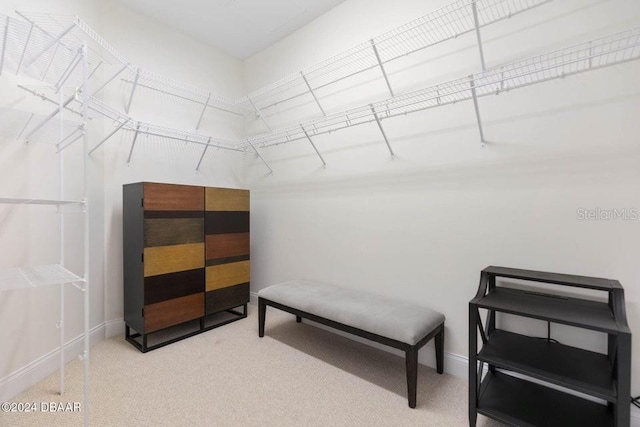 231 Riverside Dr Unit 101-1, Holly Hill, FL 32117 - spacious closet with carpet