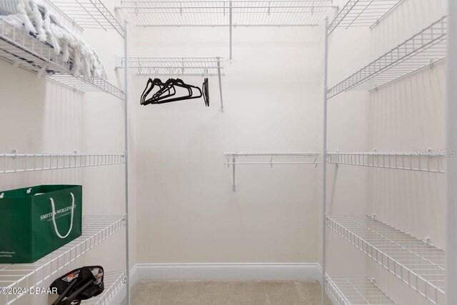 231 Riverside Dr Unit 101-1, Holly Hill, FL 32117 - walk in closet featuring carpet flooring