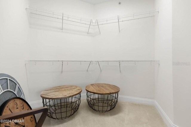 231 Riverside Dr Unit 101-1, Holly Hill, FL 32117 - spacious closet with carpet