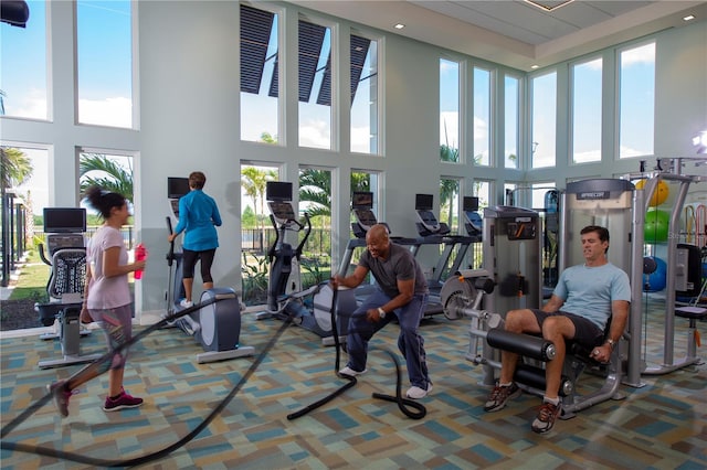 exercise room with a wealth of natural light and a towering ceiling