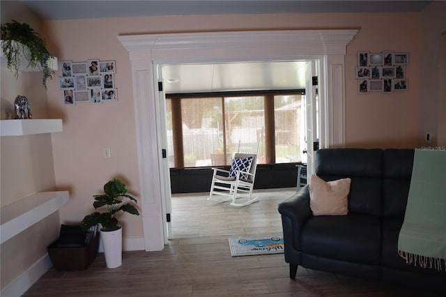 living room featuring wood-type flooring