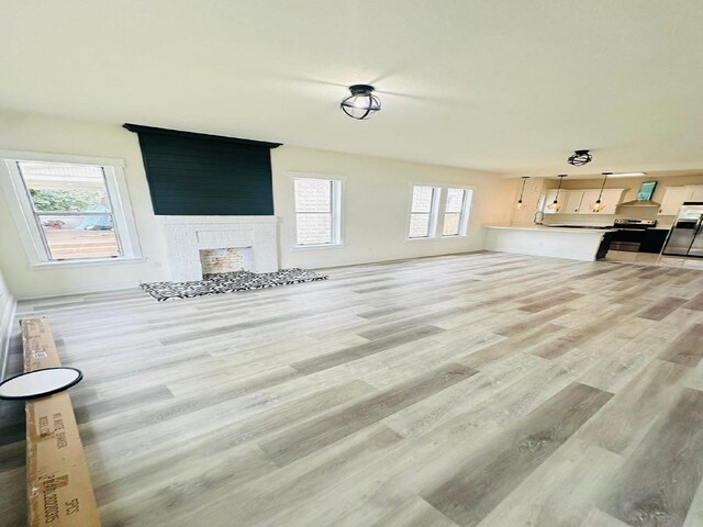 living room with light hardwood / wood-style floors and a fireplace