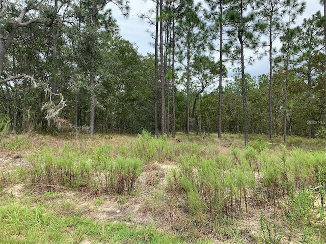 NW Ridgewood Rd, Dunnellon FL, 34431 land for sale