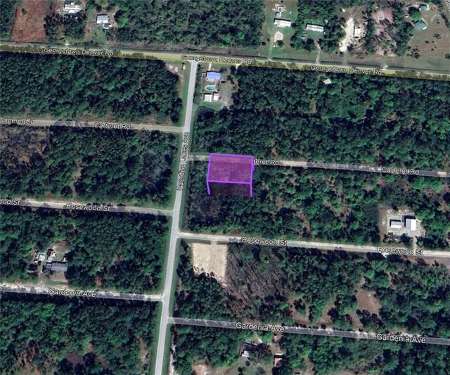 305 Carteret Rd, Georgetown FL, 32139 land for sale