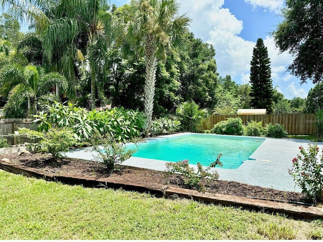 view of swimming pool