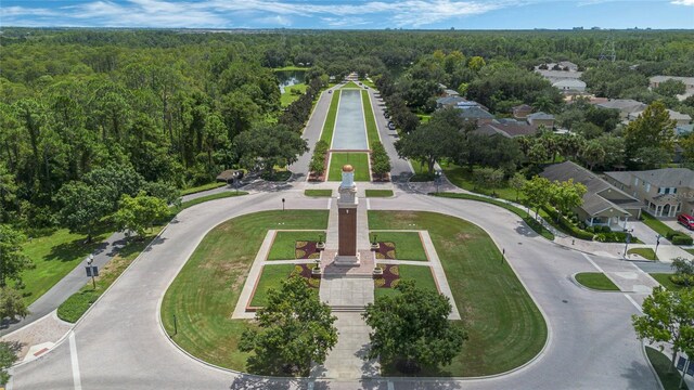 bird's eye view