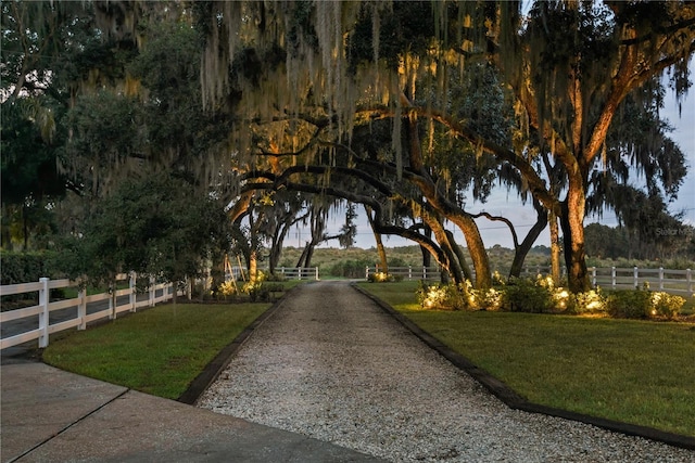 view of home's community featuring a yard