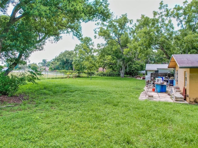 view of yard featuring a patio area