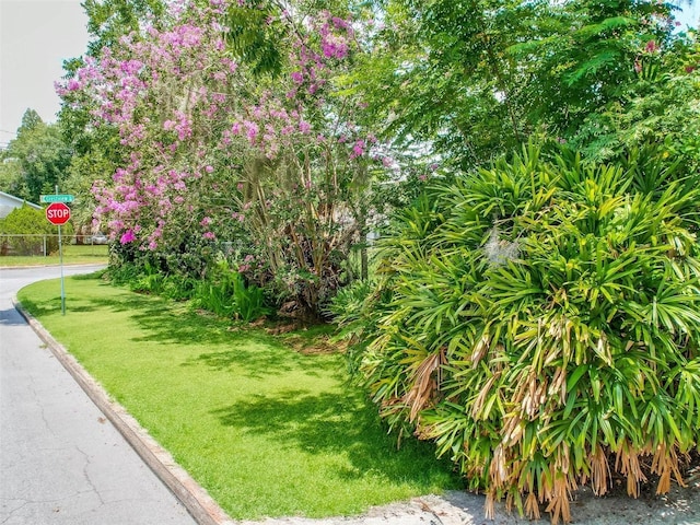 view of community featuring a yard