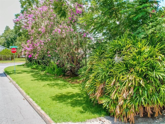 1129 Crestview Ave, Lakeland, FL 33805 - photo 18
