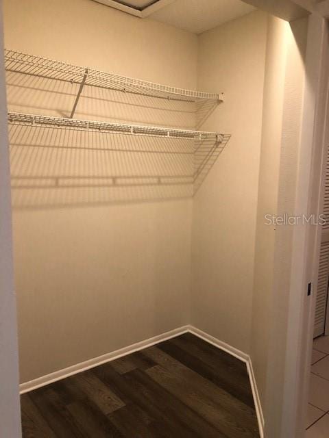 spacious closet with wood-type flooring