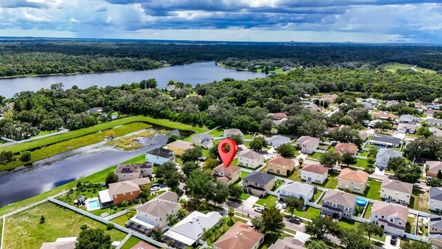 10617 Bamboo Rod Cir, Riverview, FL 33569 - aerial view of residential area with a nearby body of water and a forest
