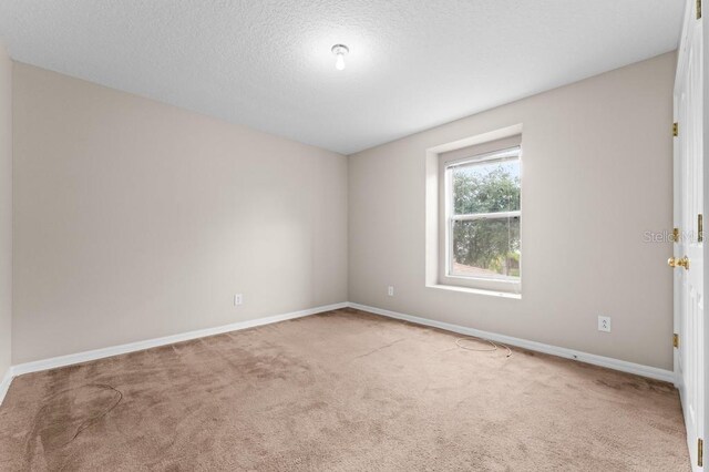 10617 Bamboo Rod Cir, Riverview, FL 33569 - spare room with carpet flooring, baseboards, and a textured ceiling
