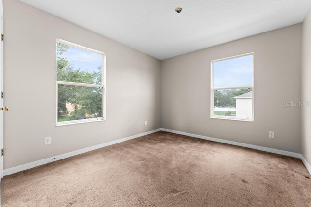 10617 Bamboo Rod Cir, Riverview, FL 33569 - carpeted spare room featuring plenty of natural light and baseboards