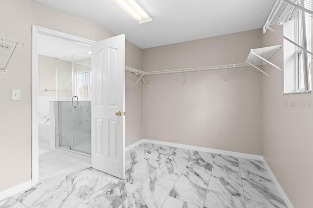 10617 Bamboo Rod Cir, Riverview, FL 33569 - walk in closet featuring marble finish floors