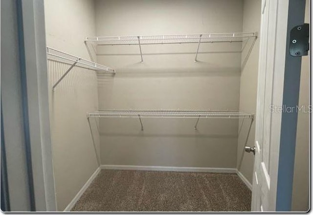 spacious closet featuring dark colored carpet