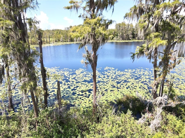 property view of water with a forest view