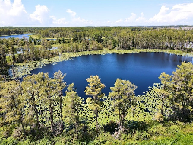 aerial view with a water view and a view of trees