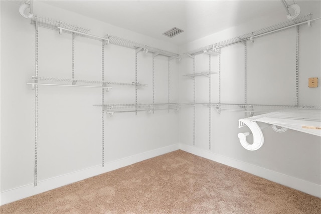 spacious closet featuring carpet floors