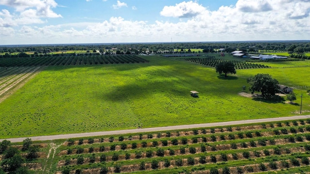 0 Charles Osborne Rd, Umatilla FL, 32784 land for sale