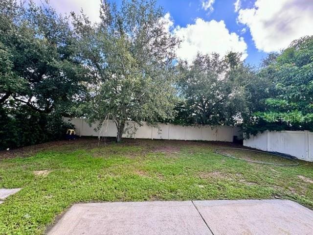 view of yard featuring a patio