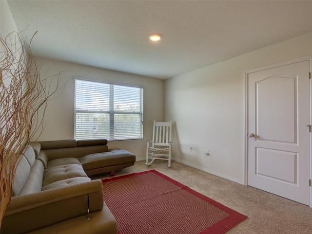 living room featuring carpet