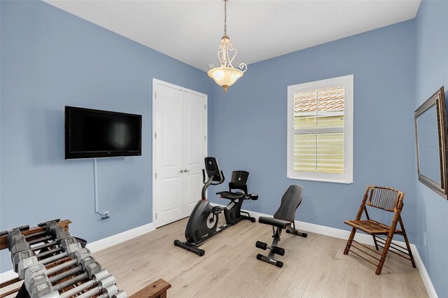 exercise room featuring light hardwood / wood-style flooring