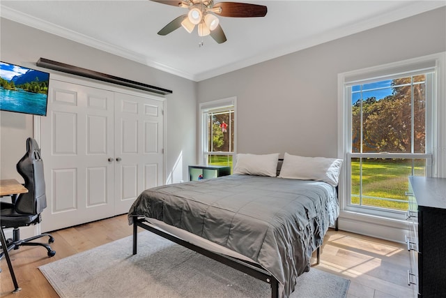 bedroom with a closet, ceiling fan, multiple windows, and light hardwood / wood-style floors