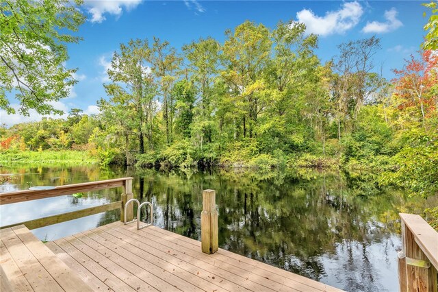 dock area featuring a water view