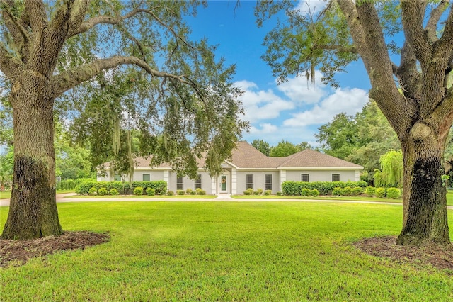 ranch-style home featuring stucco siding and a front yard