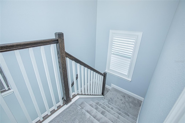 staircase with carpet