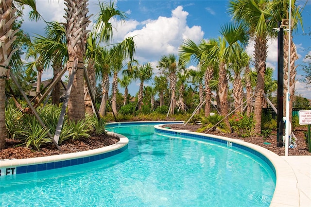 view of community pool