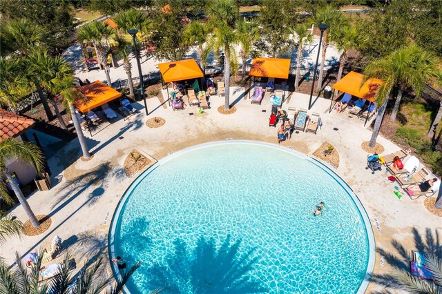 view of pool featuring a patio