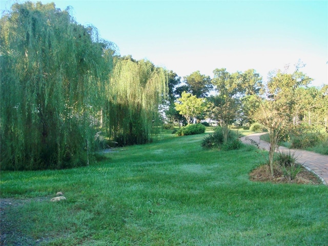 view of property's community with a lawn