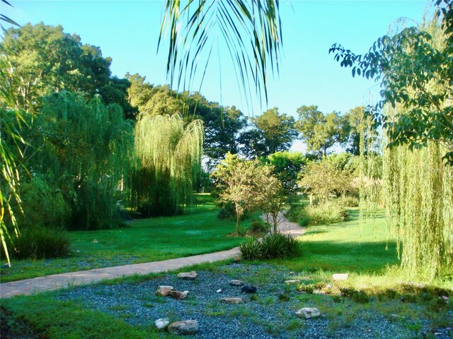 surrounding community featuring a lawn