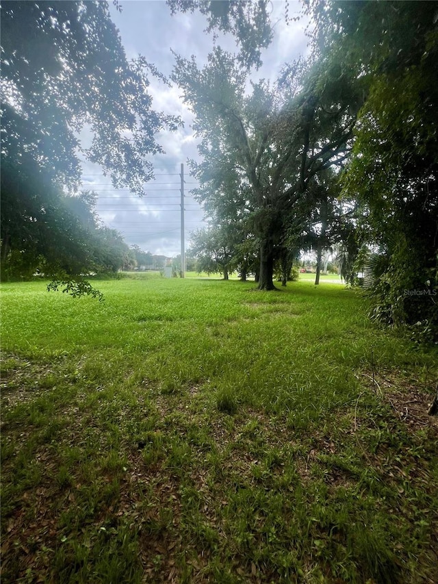 Oak St, Daytona Beach, FL 32114