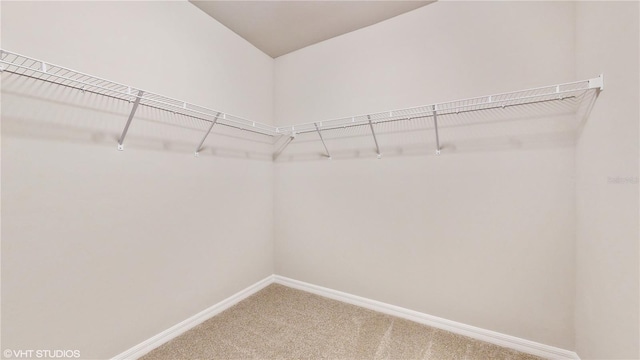 spacious closet featuring carpet floors