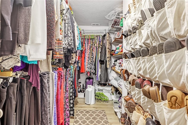 spacious closet with light wood-type flooring