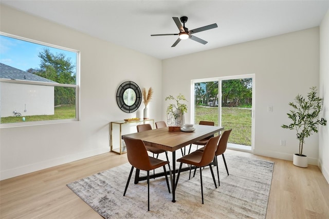 dining room featuring ceiling fan, plenty of natural light, and light hardwood / wood-style flooring