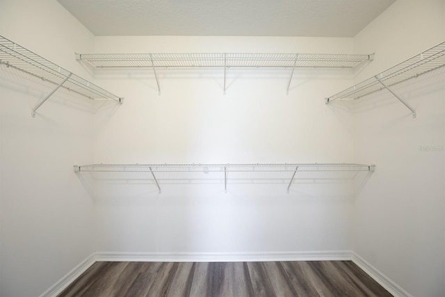 walk in closet with dark hardwood / wood-style floors