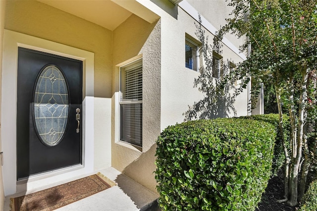 doorway to property featuring stucco siding