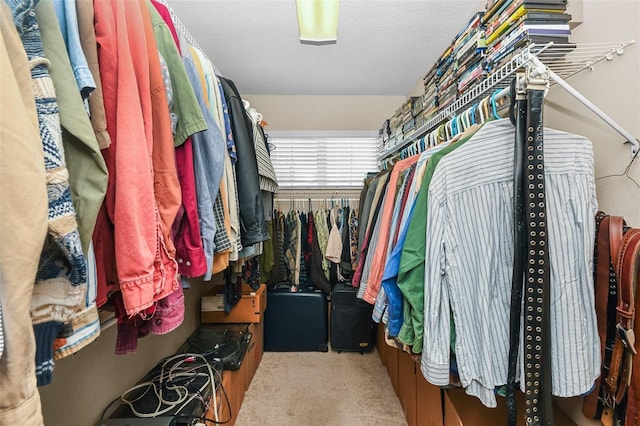 walk in closet with carpet