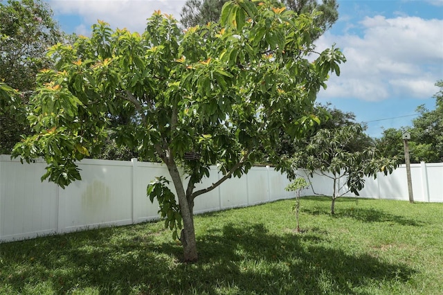 view of yard