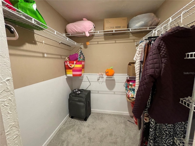 walk in closet with carpet floors