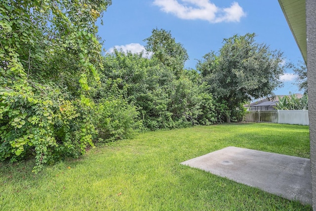 view of yard with a patio area