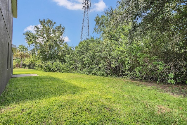 view of yard