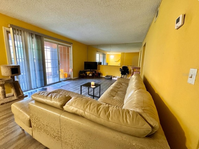 living room featuring a textured ceiling and hardwood / wood-style floors