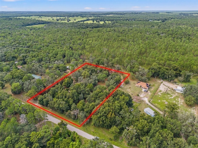 Evaline St, Brooksville, FL 34601 - photo 2